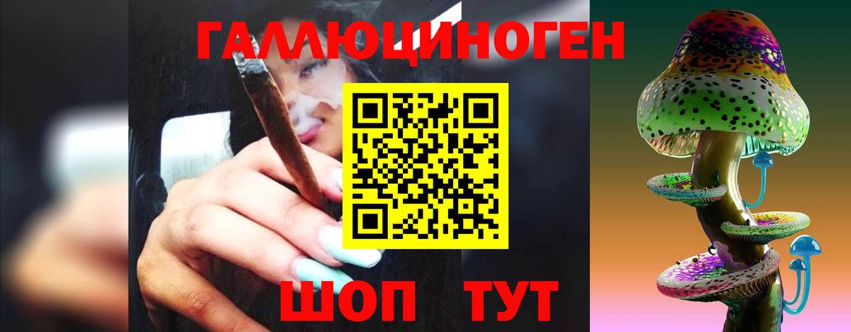 Сунжа  Псилоцибиновые грибы Psilocybine cubensis  хочу   Вход с VPN 